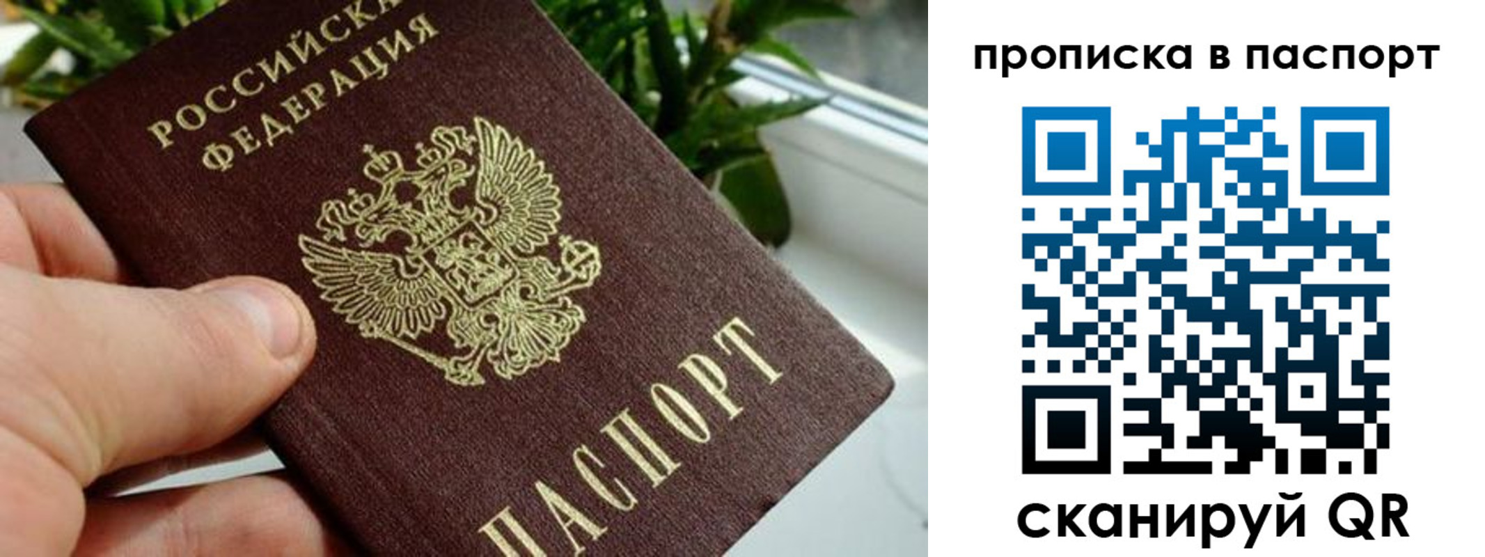 пропишу в квартире в Ворсме